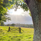 Pasture Gate Print