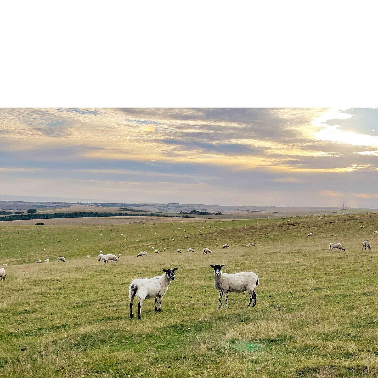 Firle Beacon Slopes Print