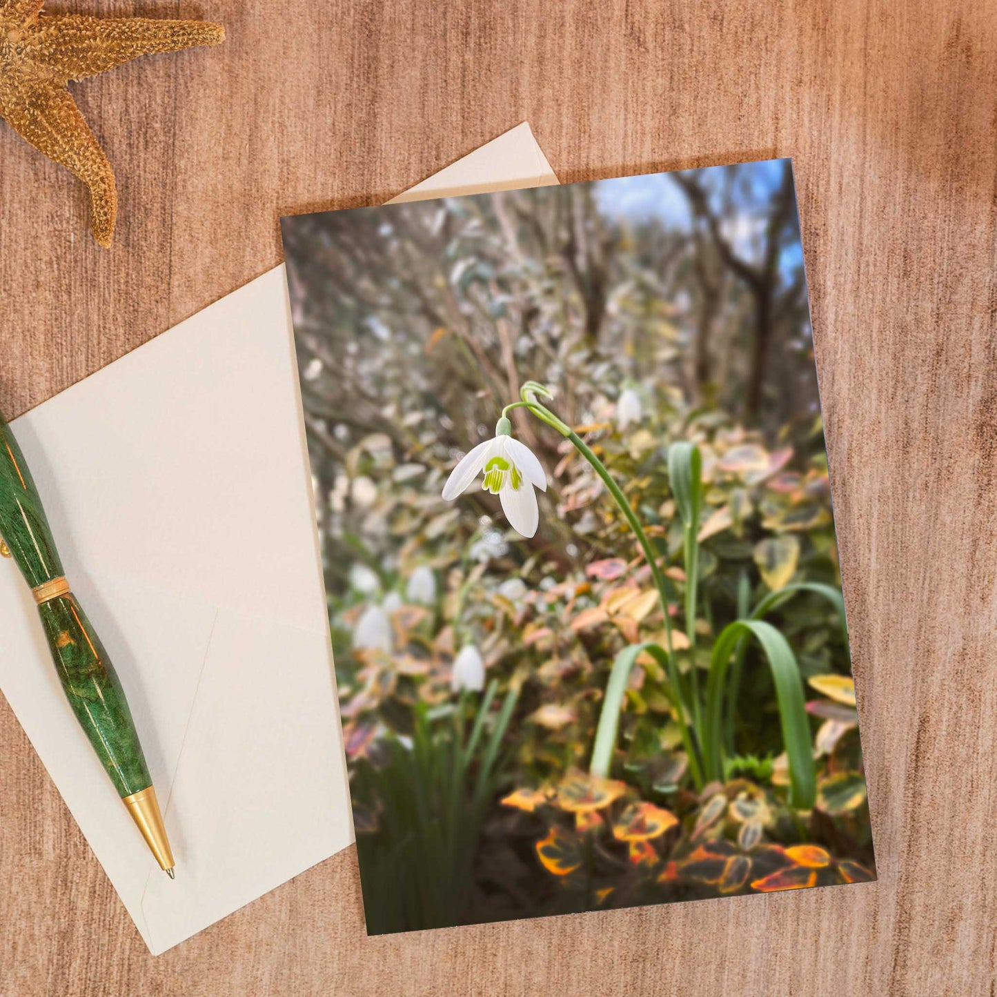 Snowdrop Greeting Card