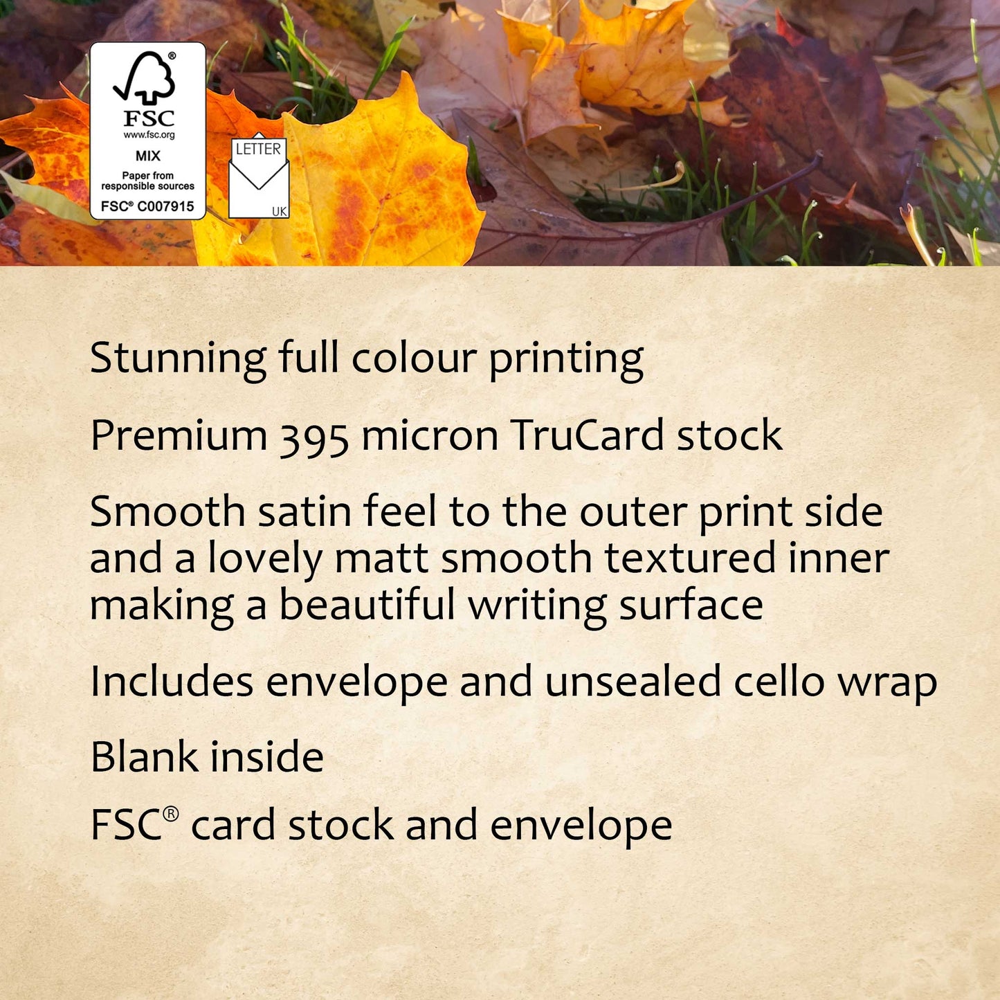 Autumn Leaves Greeting Card