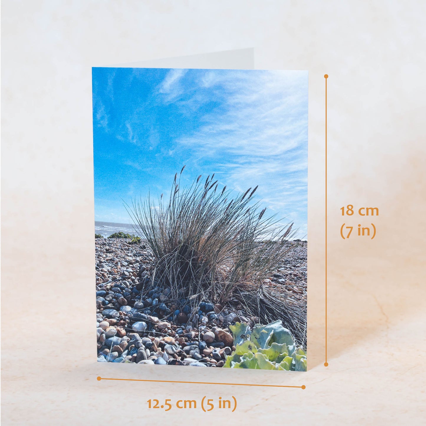 Sea Grass Greeting Card