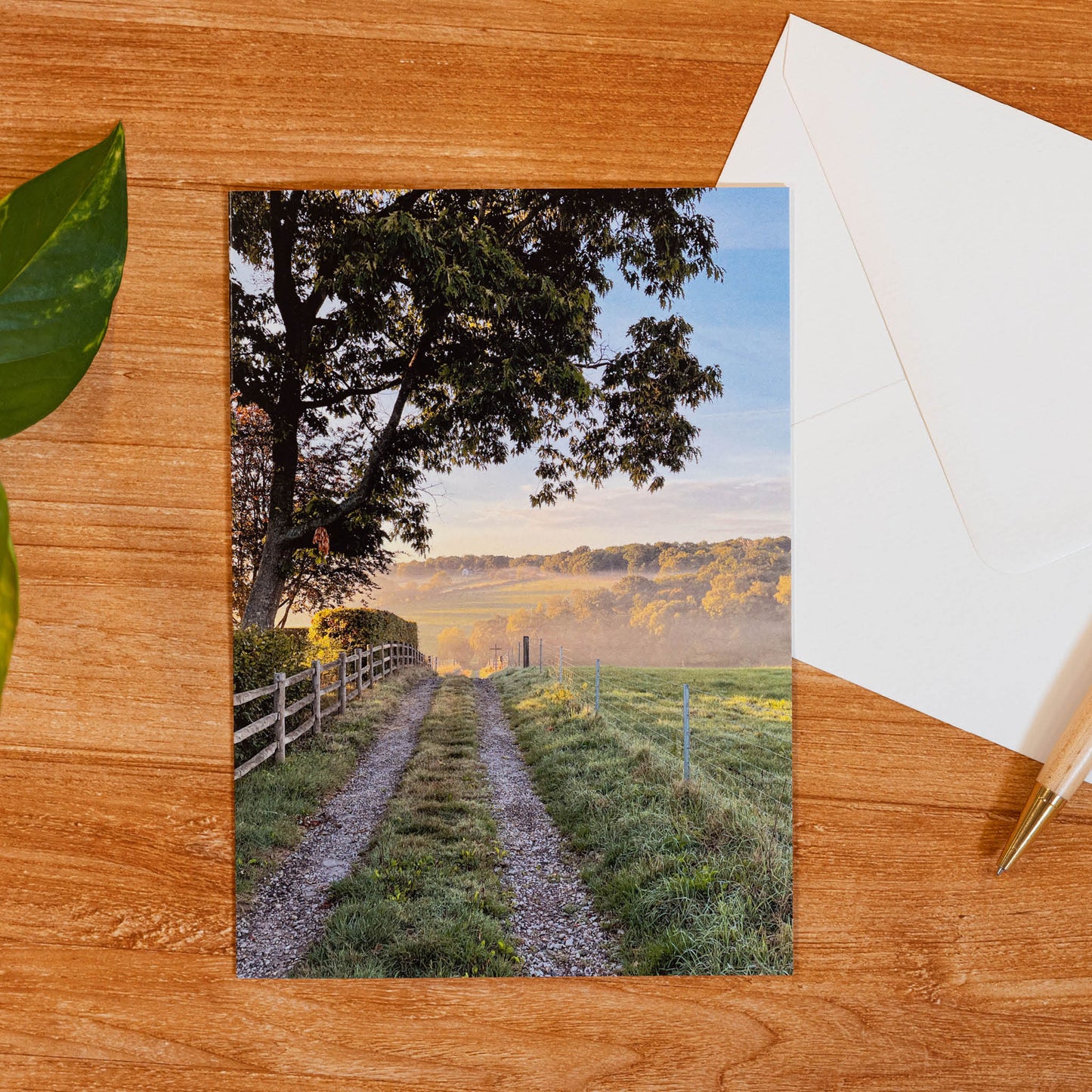 Farm Track Greeting Card