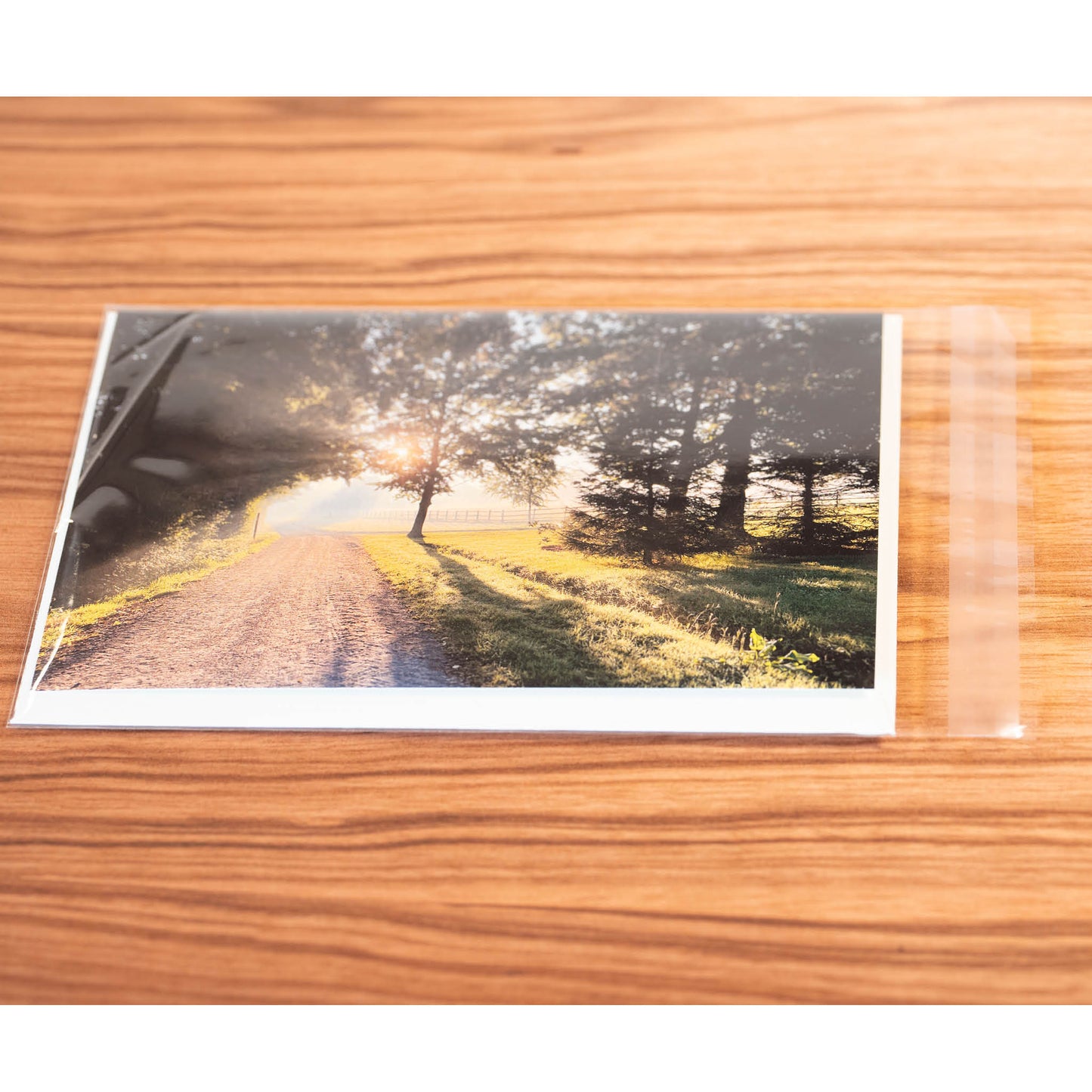 October Sunrise Greeting Card