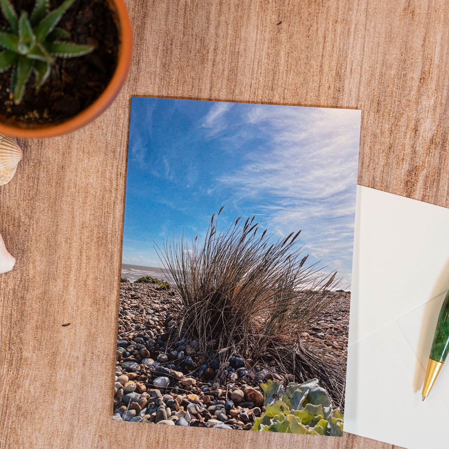 Sea Grass Greeting Card