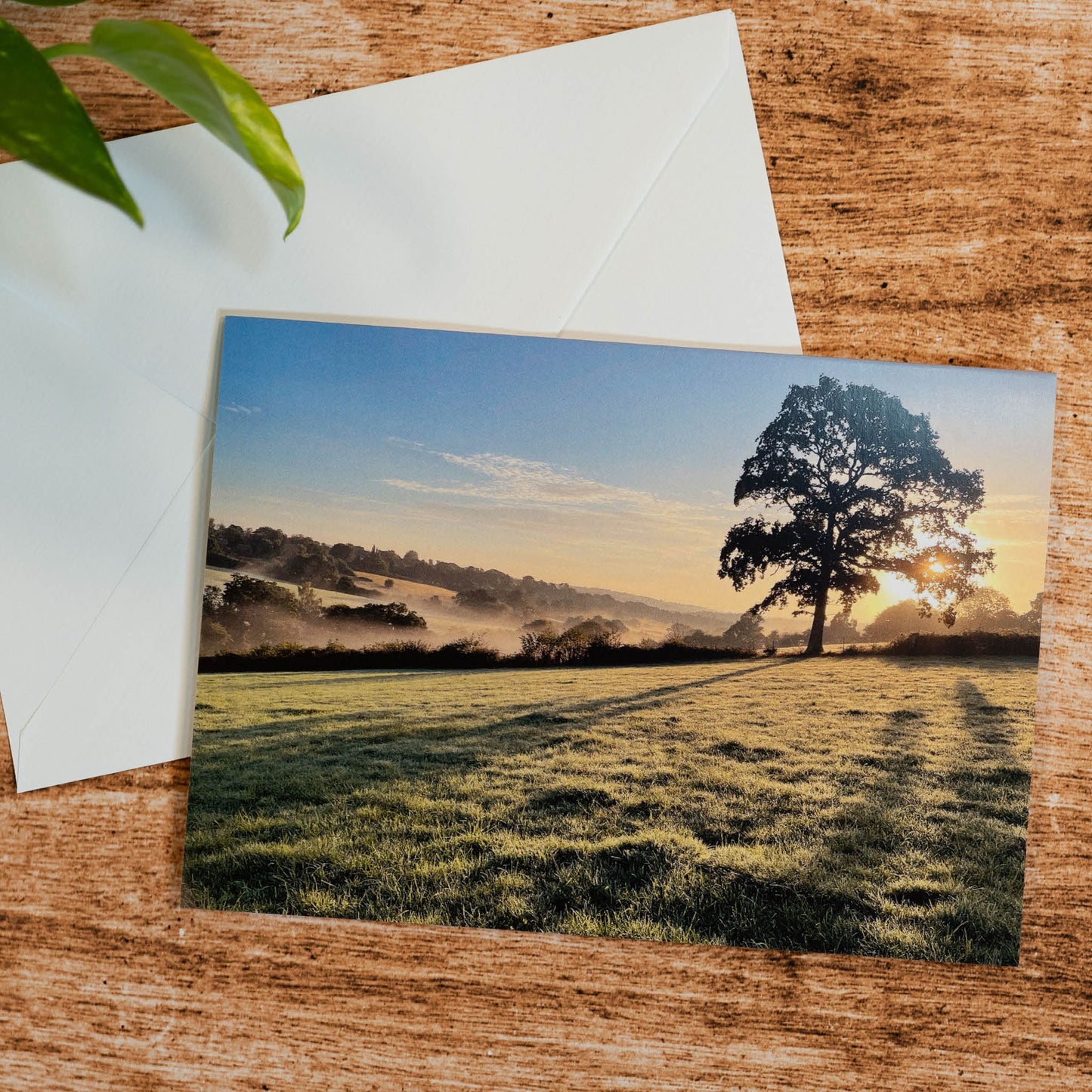 Sussex Valley Greeting Card