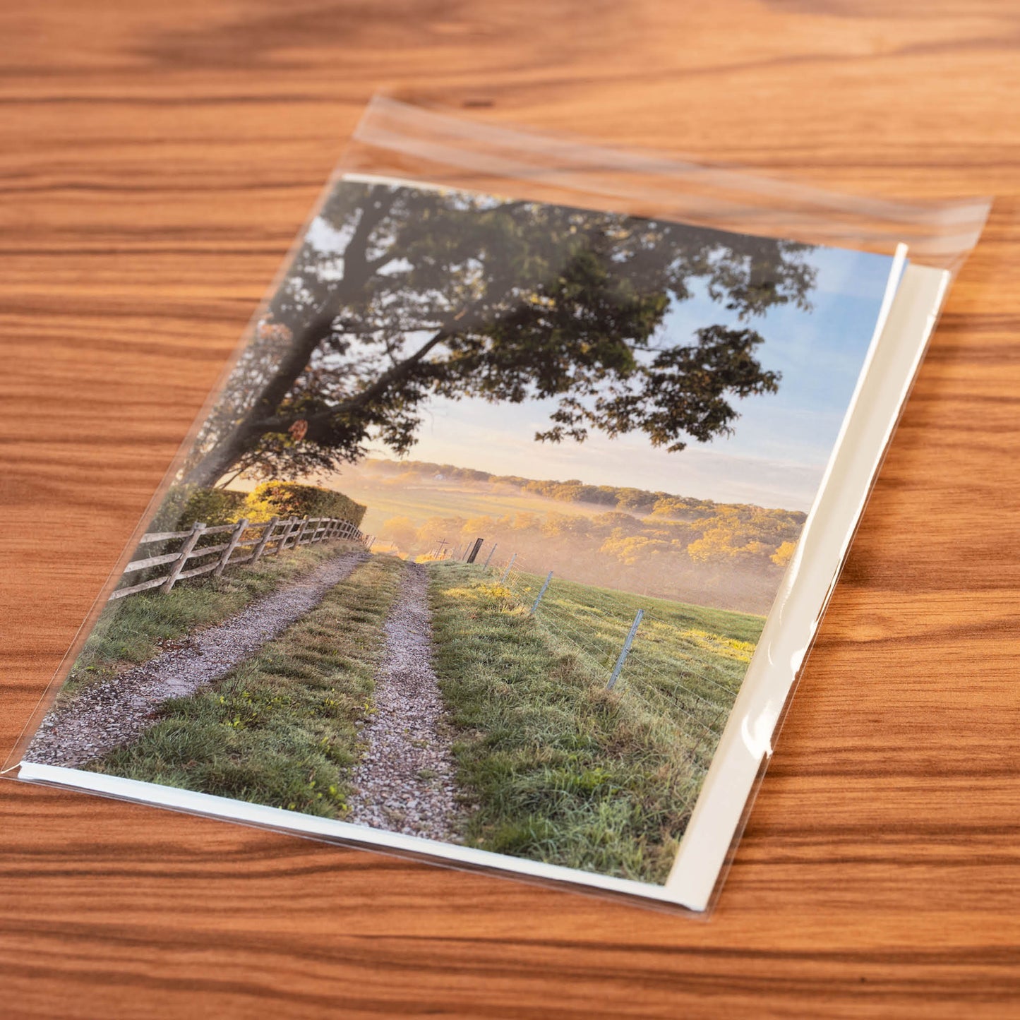 Farm Track Greeting Card