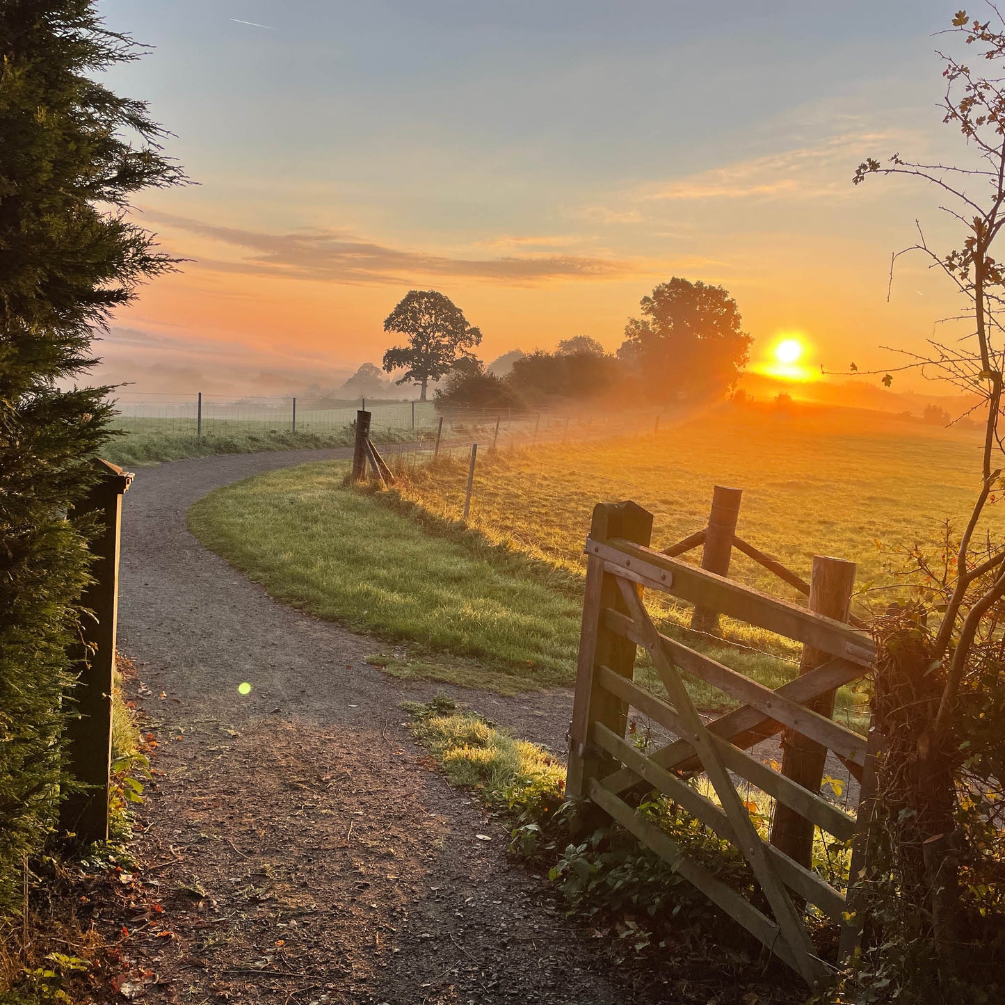 Farm Gate Greeting Card